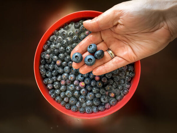 2607_Heidelbeeren_01.jpg